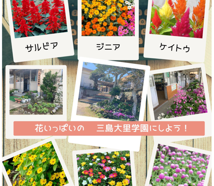 夏植えの花紹介のサムネイル