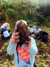 10月25日　芋掘り・茶話会