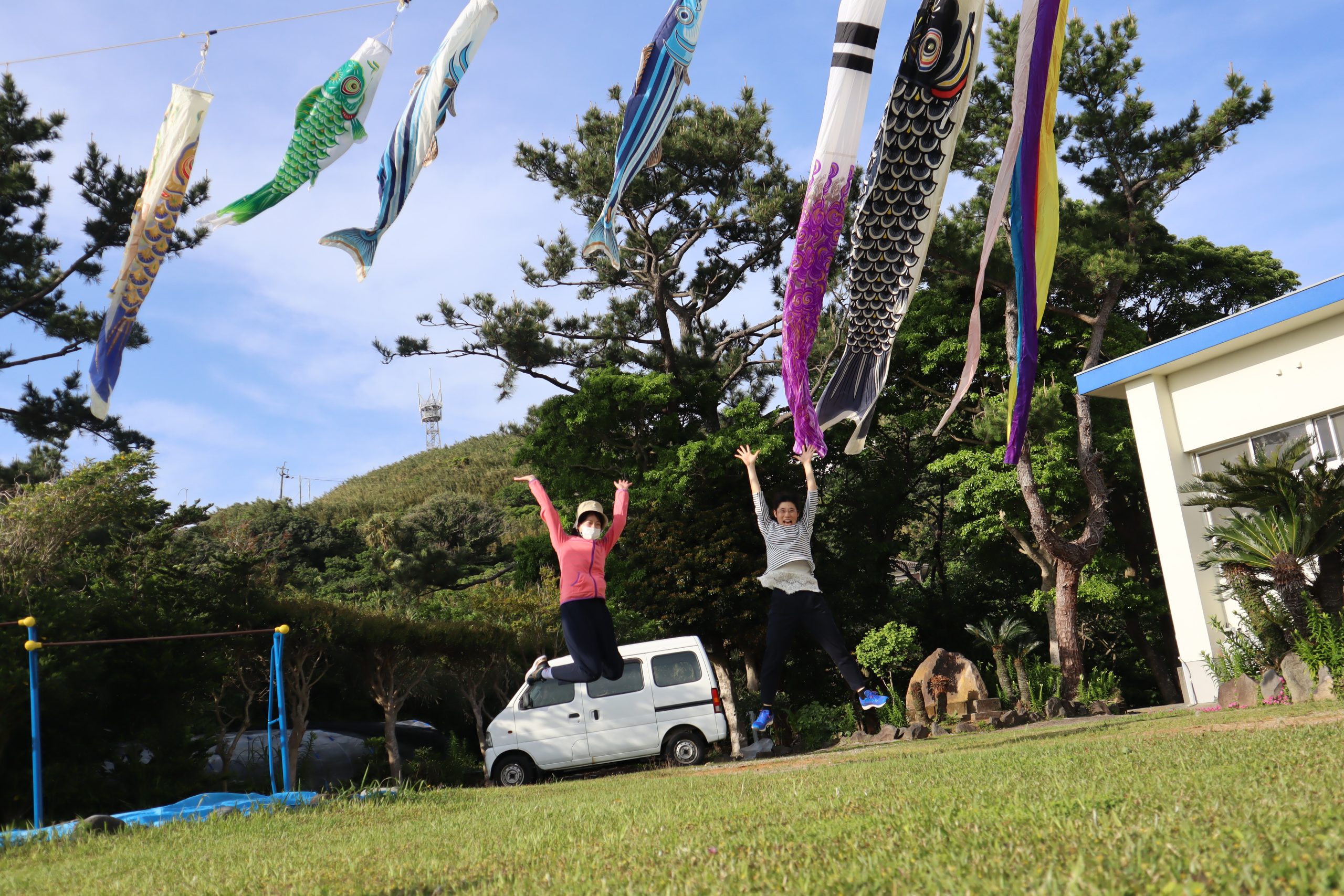 鯉と鰹が泳いでます