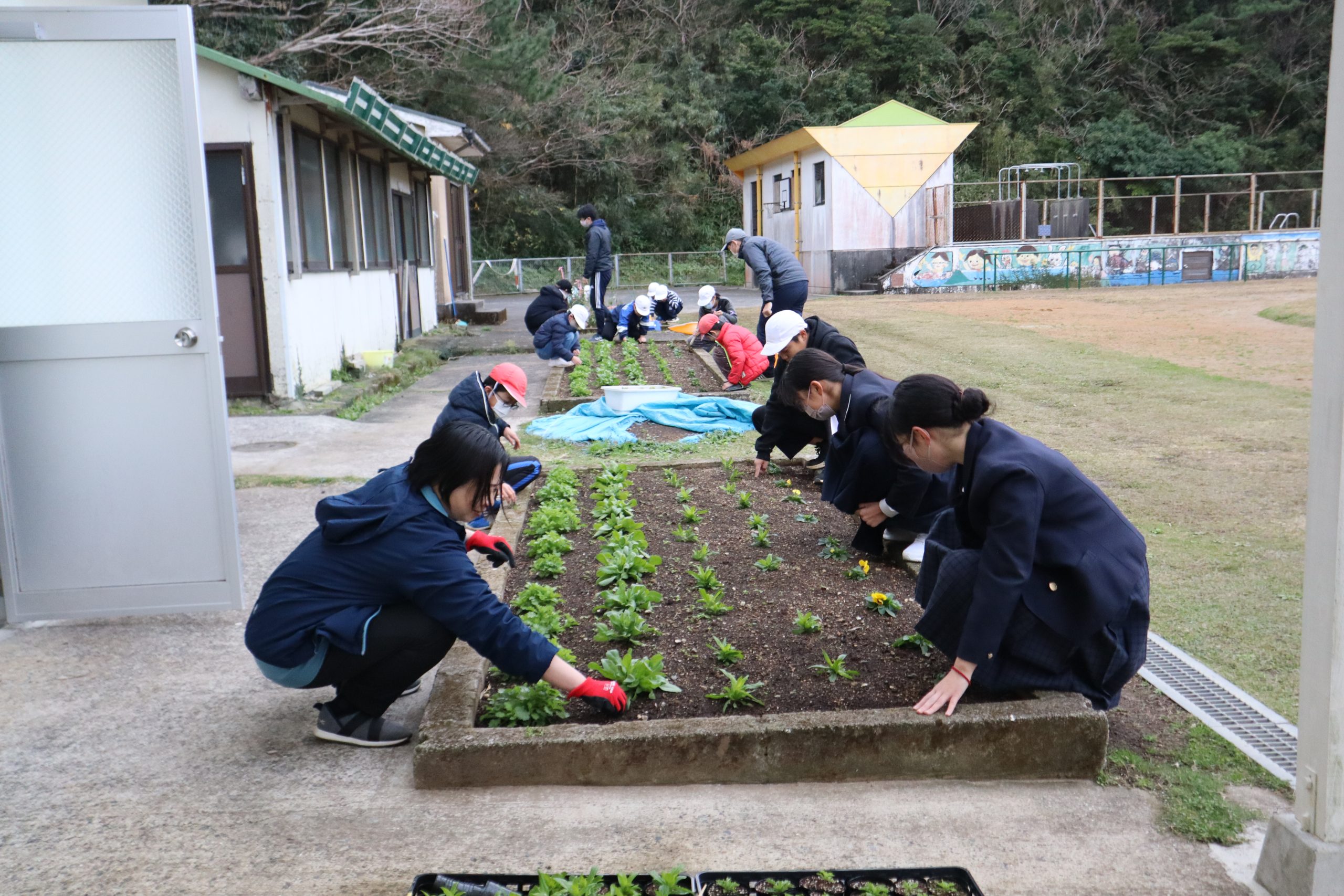 フラワータイム