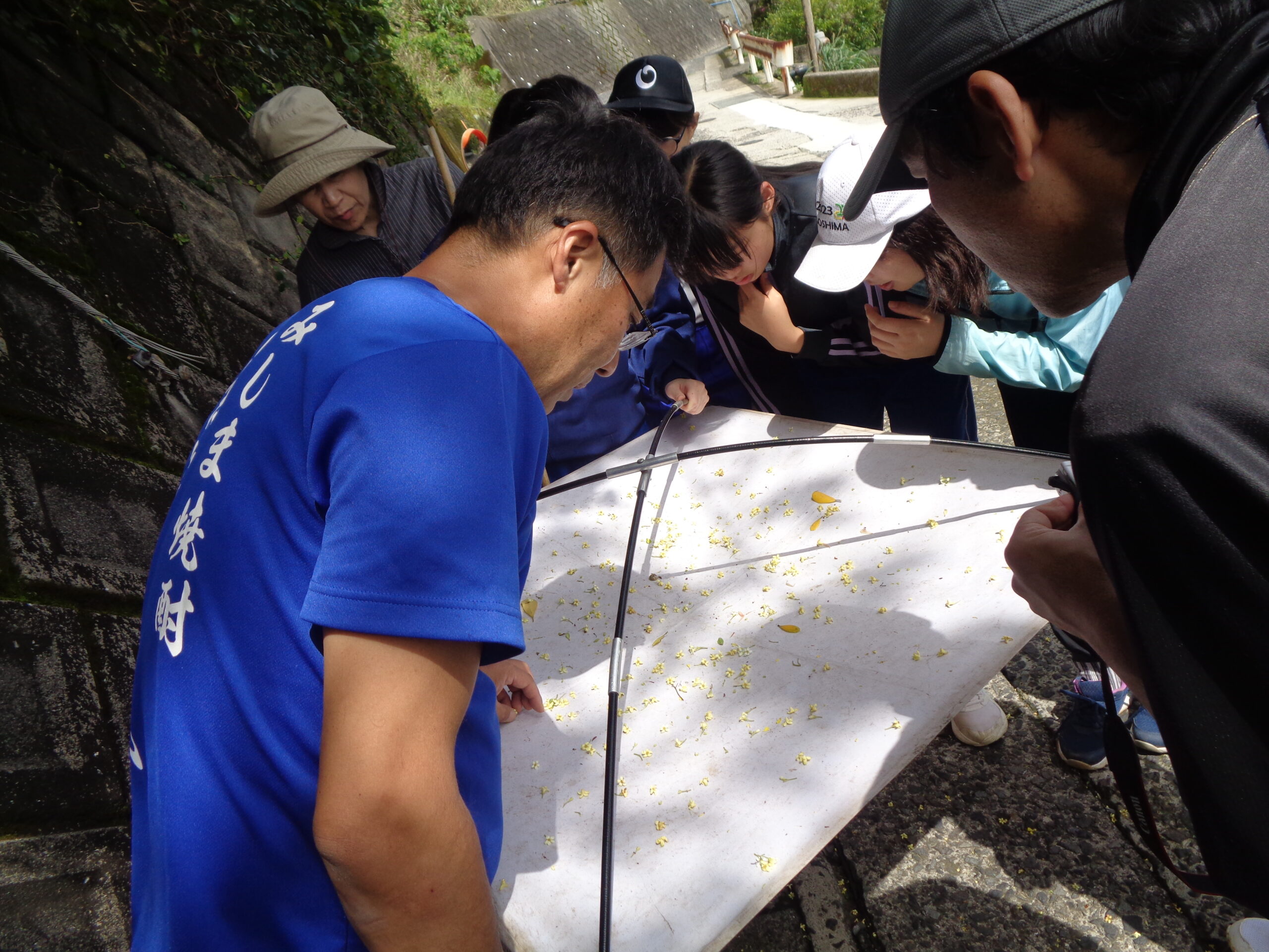 リベンジ昆虫教室！！