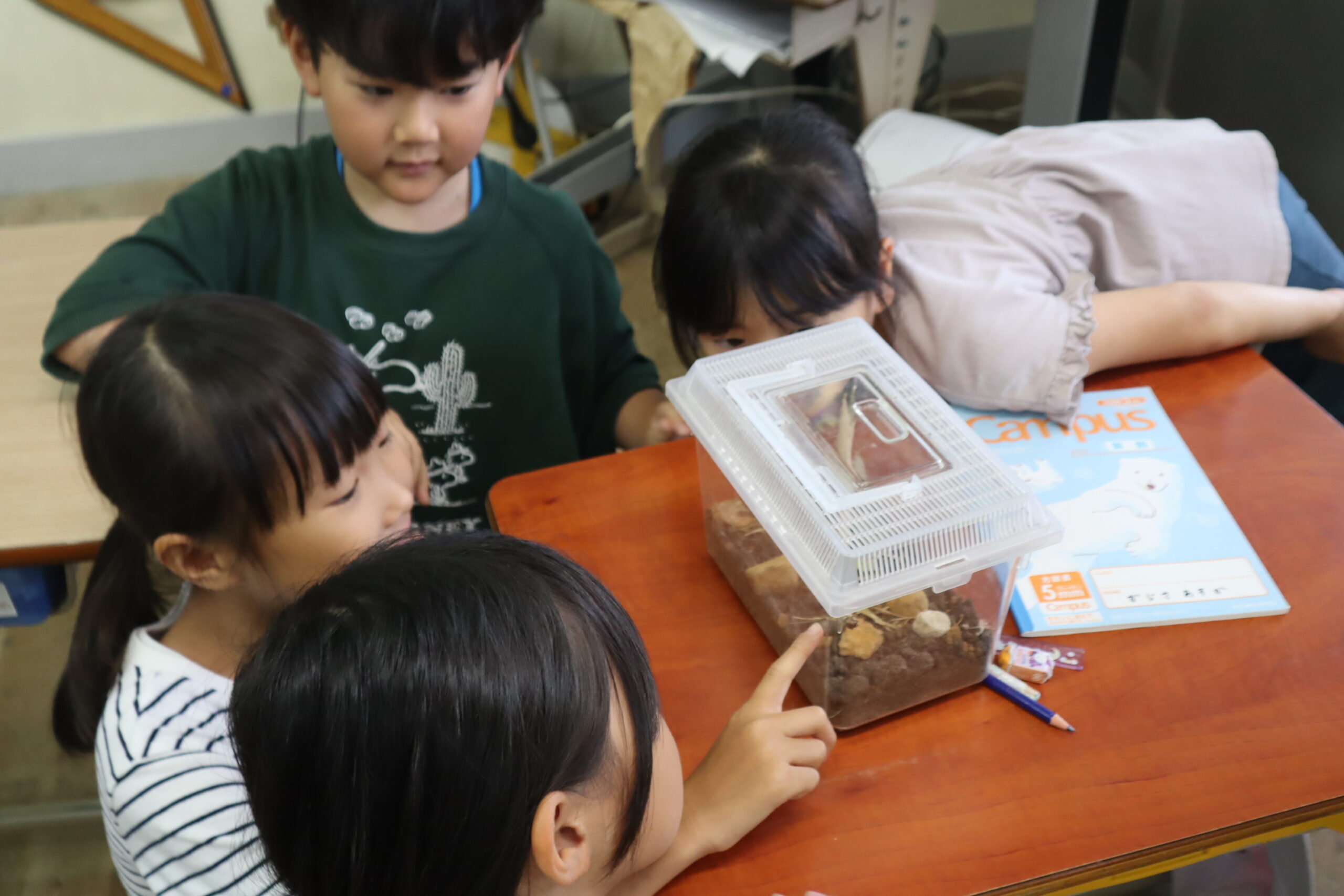 大きくなった！！