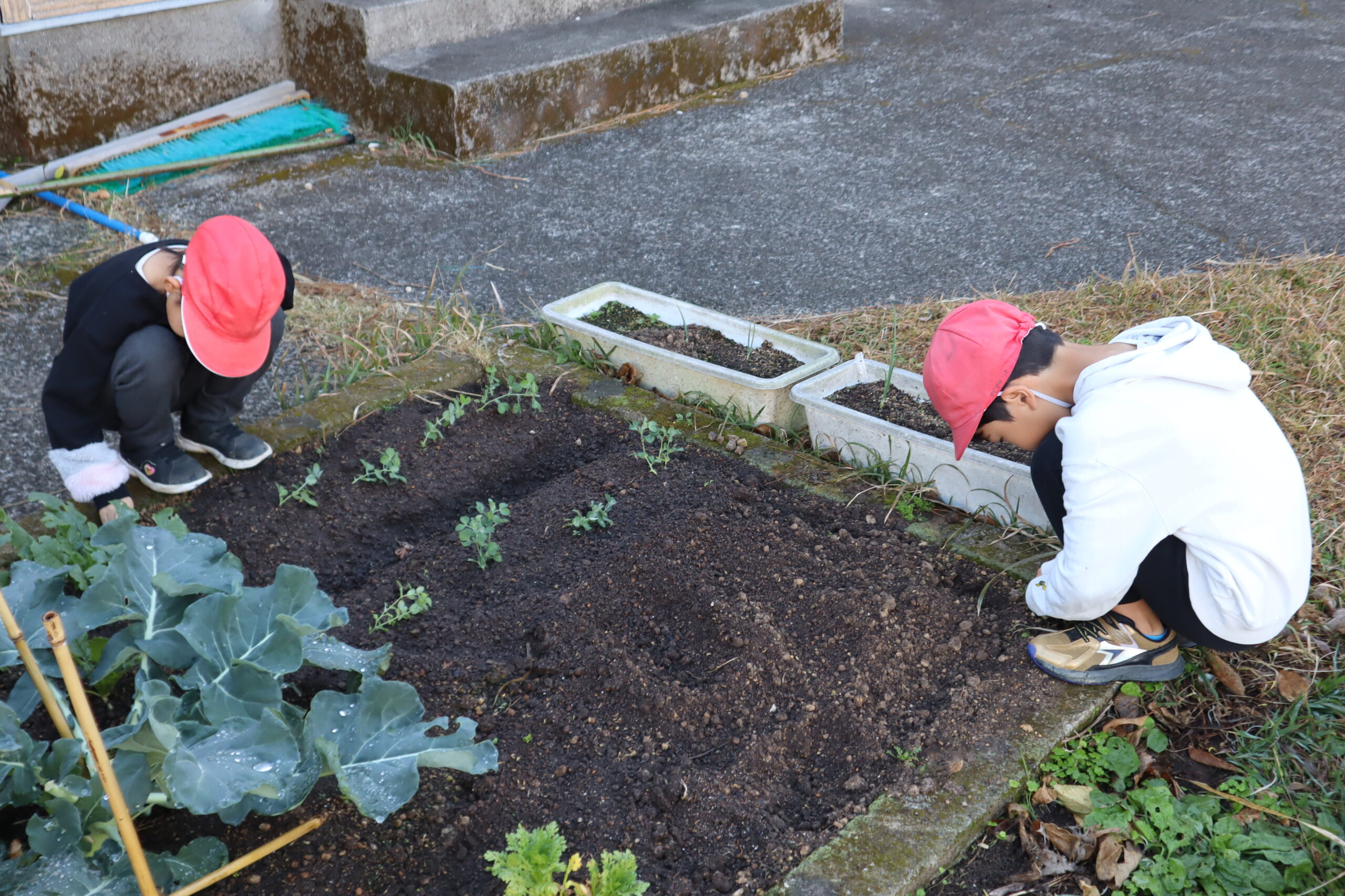朝の活動の様子