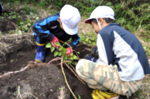 学校の様子　11月